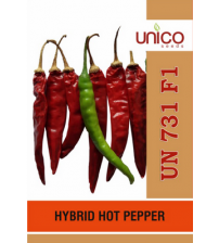 Chilli / Hot Pepper UN 731 100 grams